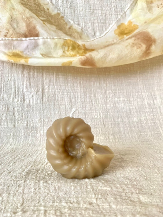 Spiral Shell (Ammonite)- 100% Beeswax Candle