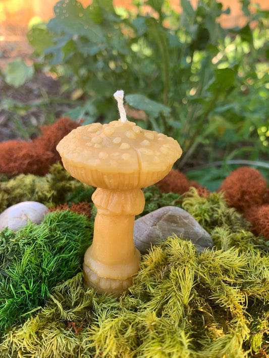 Mushroom, Amanita - 100% Beeswax Candle