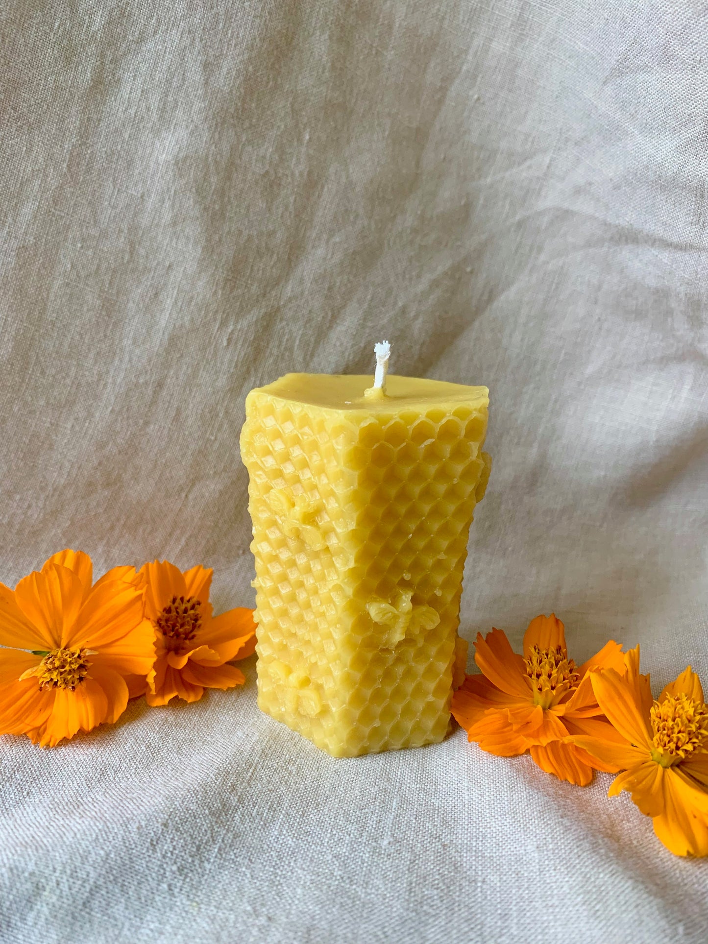 Small Honeycomb Pillar - 100% Beeswax Candle