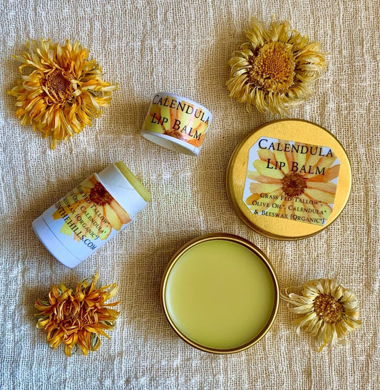 Lip Balm - Tallow - Calendula
