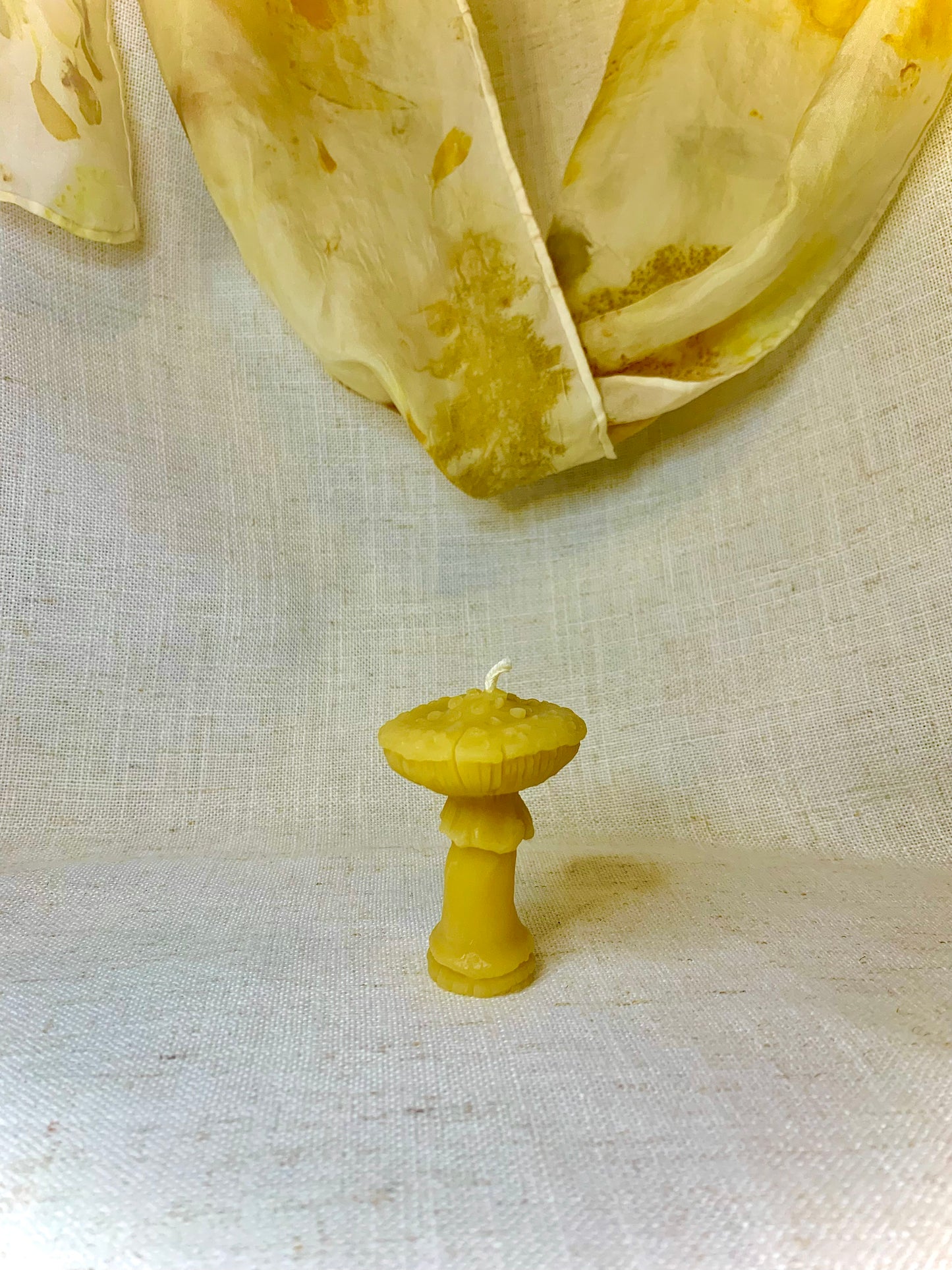 Mushroom, Amanita - 100% Beeswax Candle